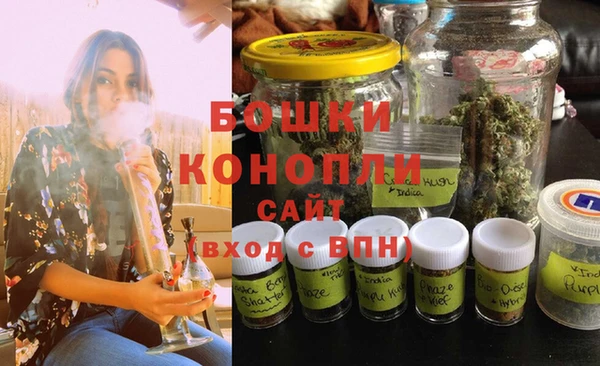 молекула духа Верхний Тагил