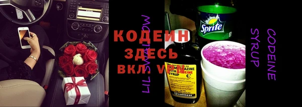 молекула духа Верхний Тагил