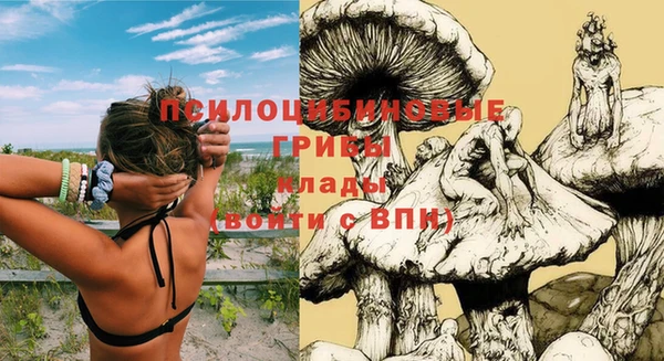 молекула духа Верхний Тагил