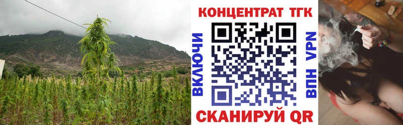 ТГК жижа  Инсар 