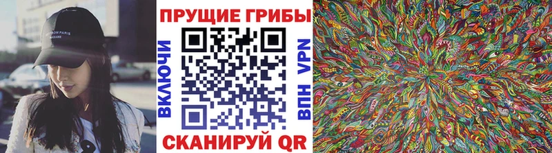 Галлюциногенные грибы Psilocybe  Инсар 